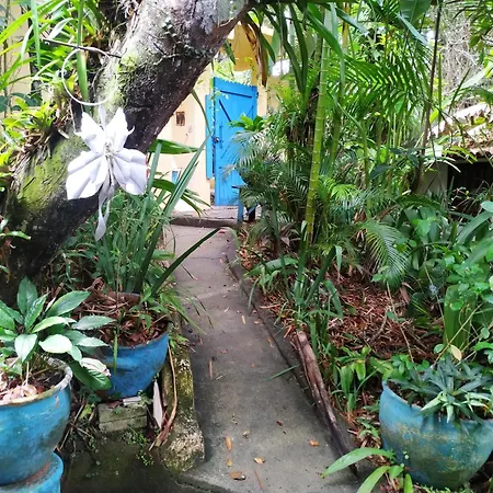 Cultura Mix Guest House Porto Seguro Exterior photo